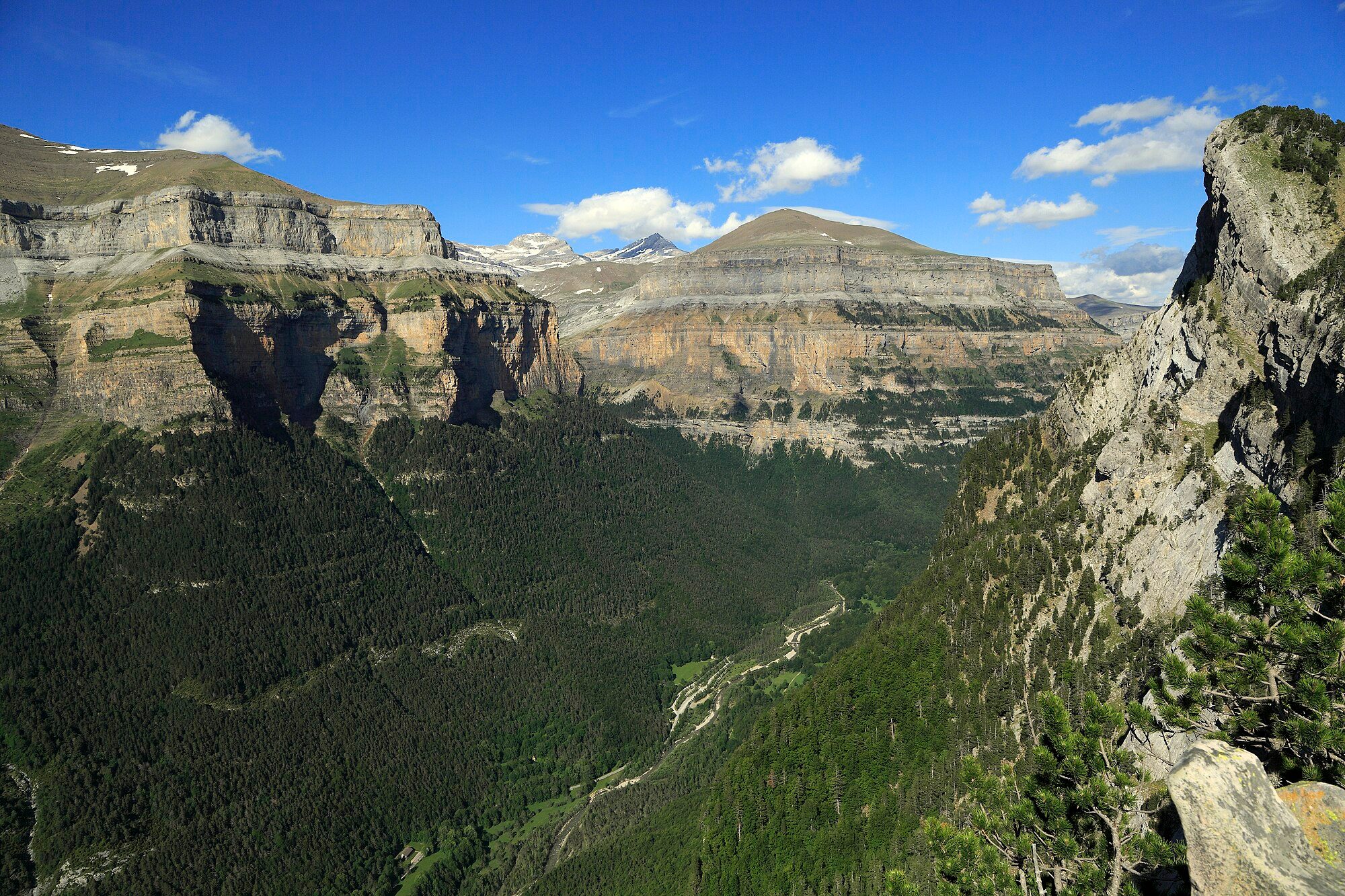 Colabora con nosotros